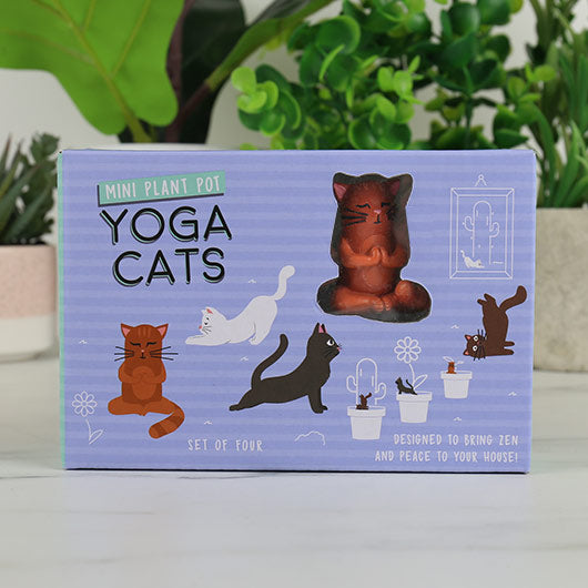 Mini Plant Pot – Yoga Cats (Set of 4)