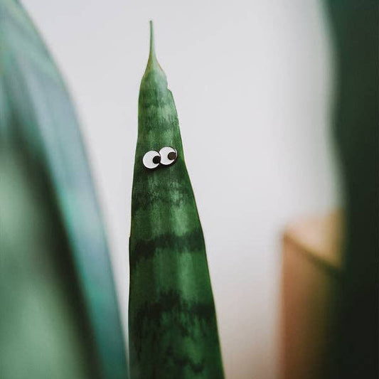 Googly - 🌱 Plant Magnet 🧲