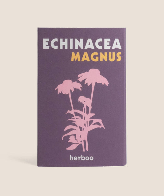 Echinacea 'Magnus' seeds