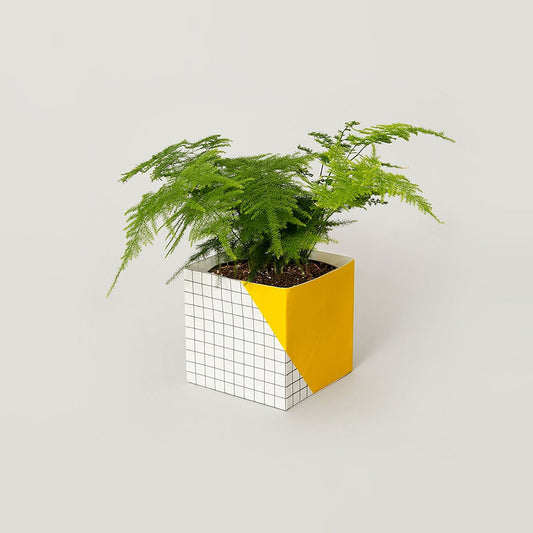 Geometric Plant Pot Cover