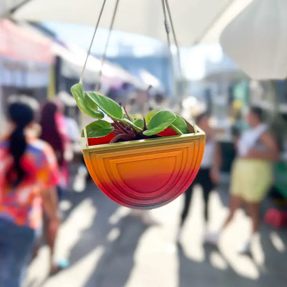 Rainbow Hanging Planter