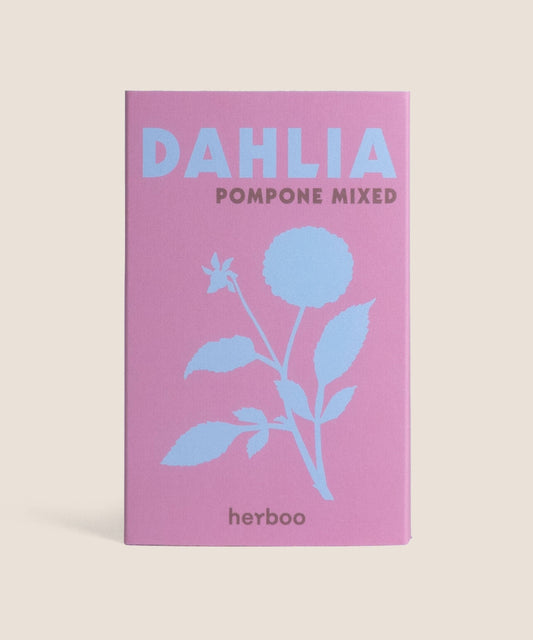 Dahlia 'Pompone Mixed' Seeds