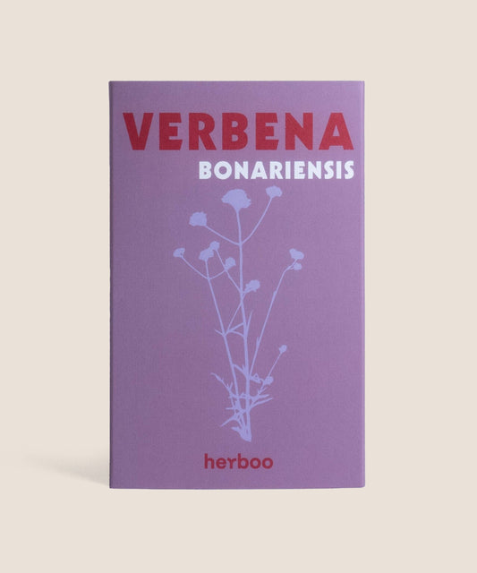 Verbena Bonariensis Seeds