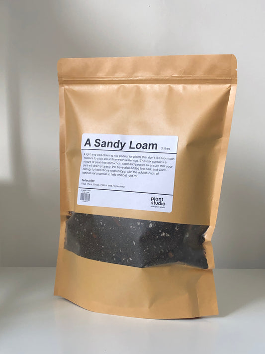 A Sandy Loam