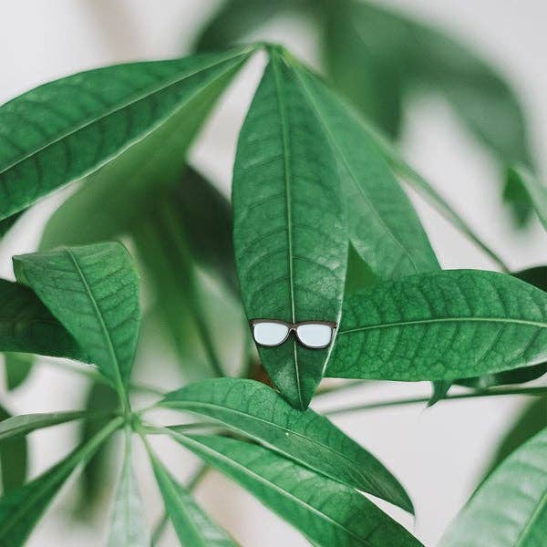 Ruth - 🌱 Plant Magnet 🧲