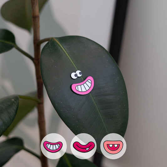 Goofy 3-Pack - 🌱 Plant Magnet 🧲